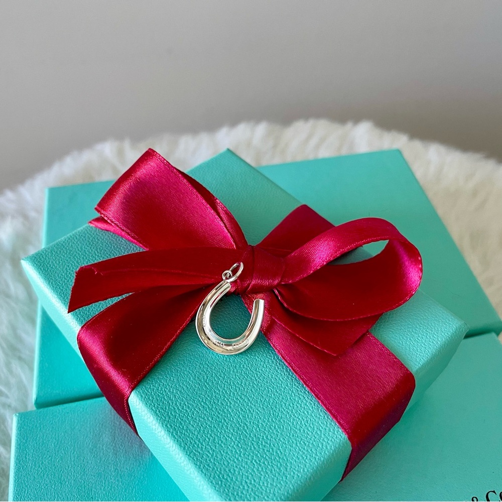 Tiffany and Co. Silver Horseshoe Charm